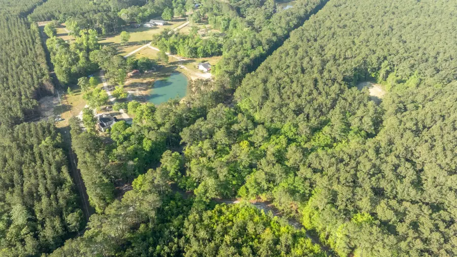 0 Etheridge Dr., Andrews, SC 29510 - #2