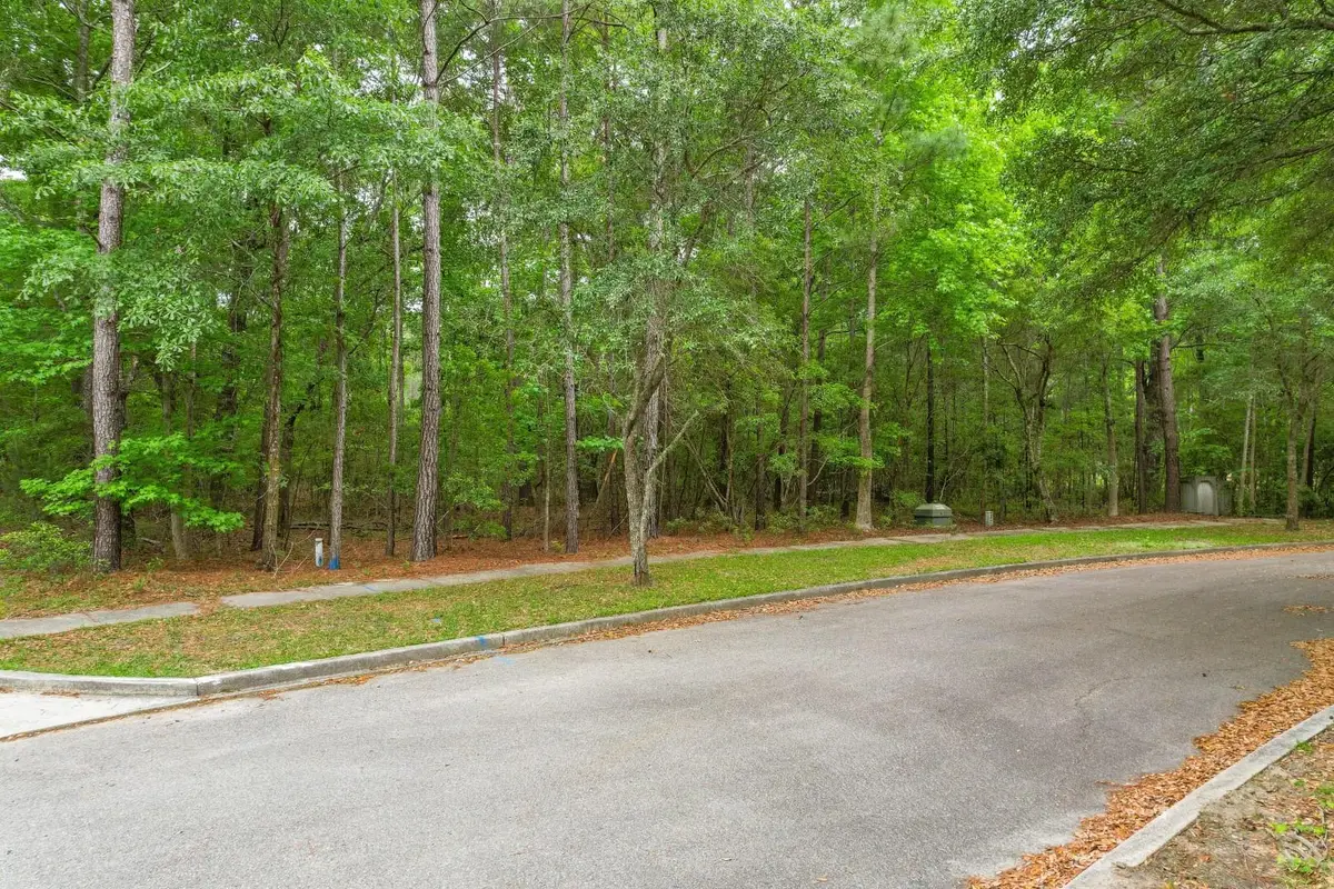 153 Duany Dr., Georgetown, SC 29440 - #1