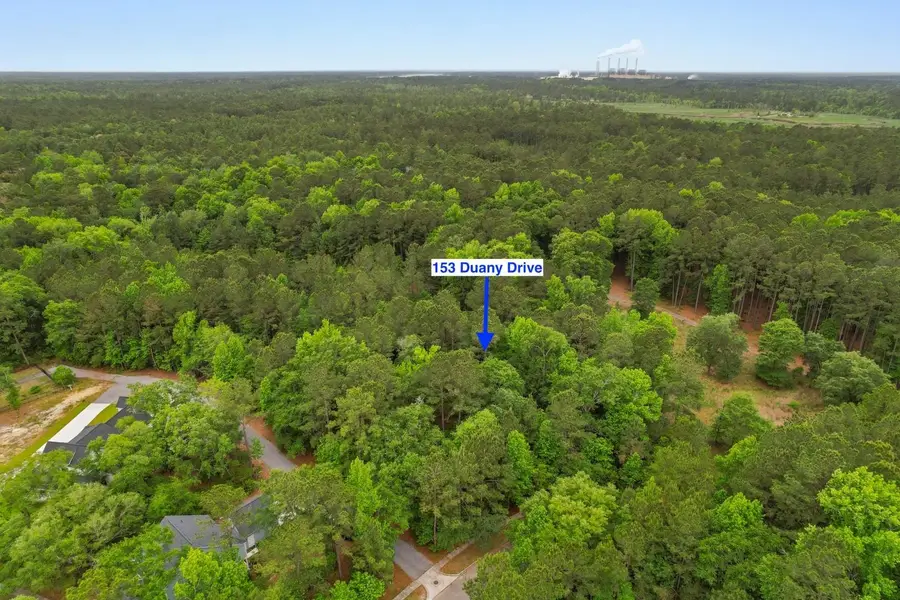 153 Duany Dr., Georgetown, SC 29440 - #3