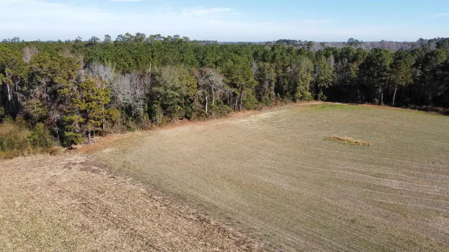 TBD Highway 917, Nichols, SC 29581 - #3