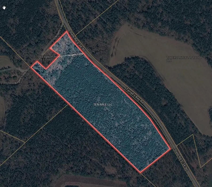 TBD Terrell's Bay Rd., Centenary, SC 29519 - #3