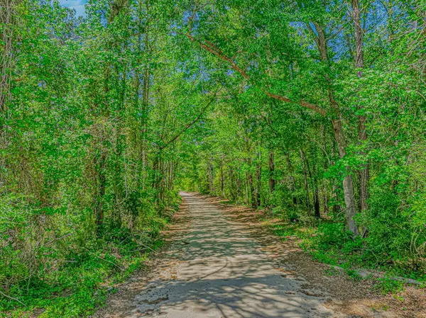TBD Piney Grove Church Rd, Gresham, SC 29546