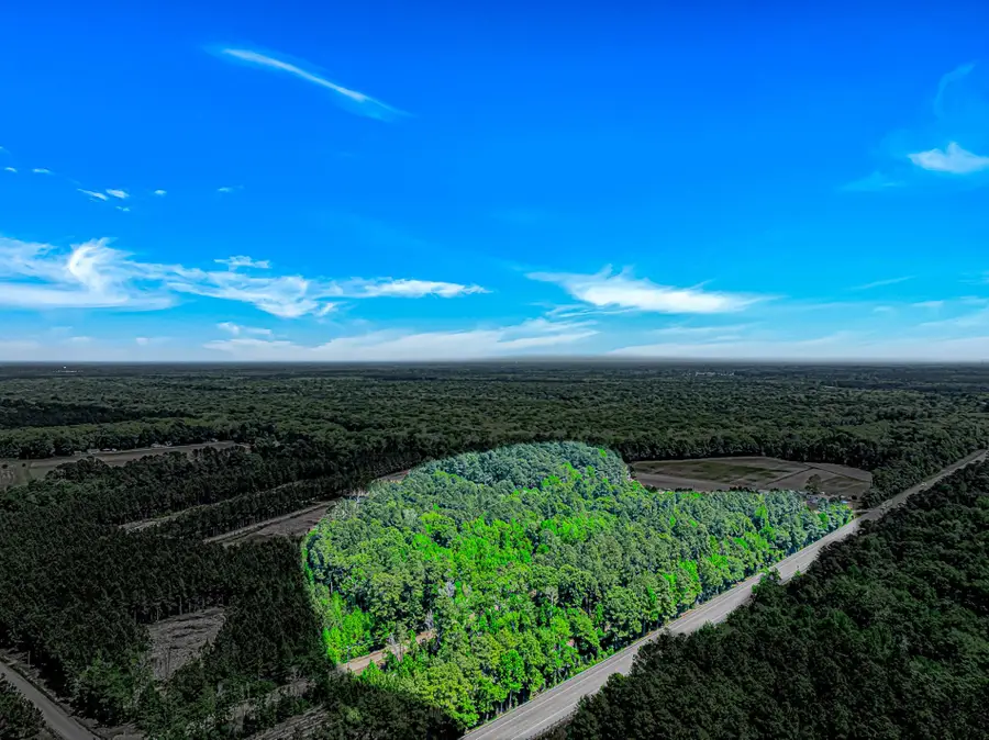 TBD Piney Grove Church Rd, Gresham, SC 29546 - #2