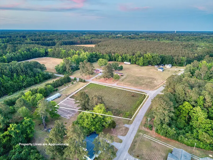 TBD Whack Rd., Greeleyville, SC 29056 - #2