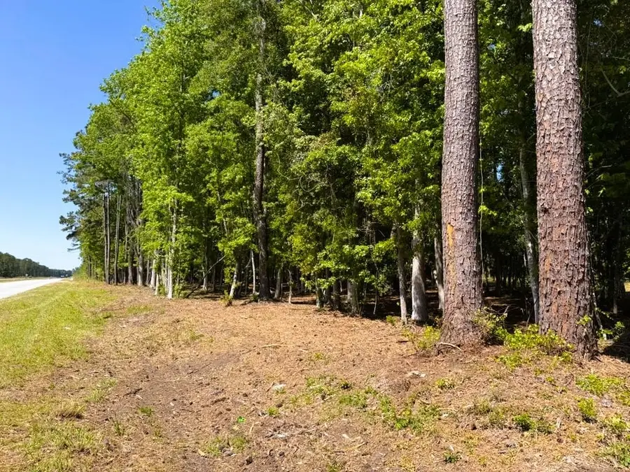 9904 Highway 17 North, McClellanville, SC 29458 - #3