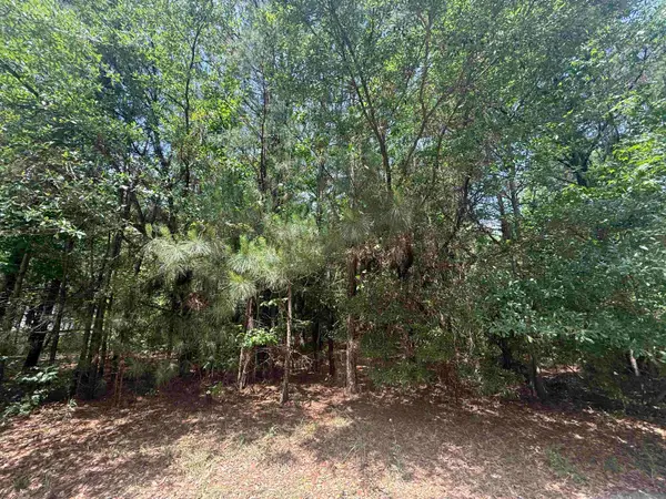 Lot 1 Brantly Rd., Andrews, SC 29510