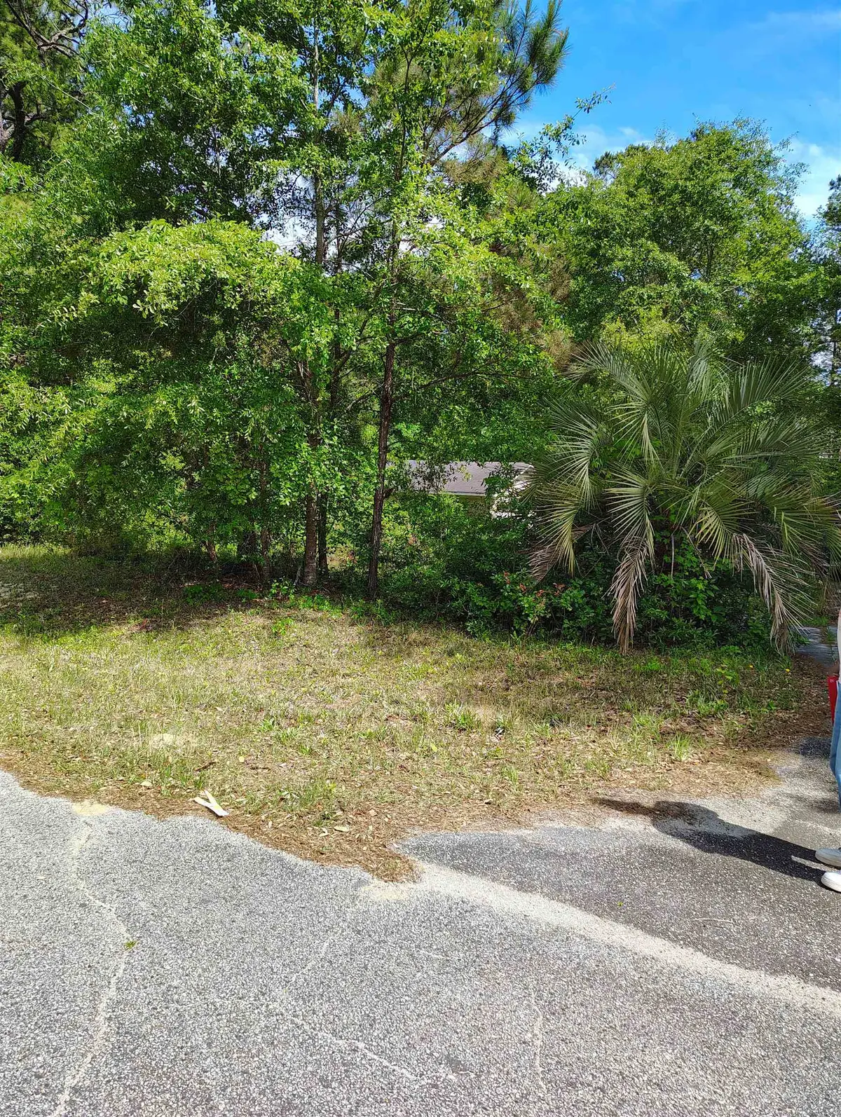 166 Telfair Rd., Georgetown, SC 29440 - #1