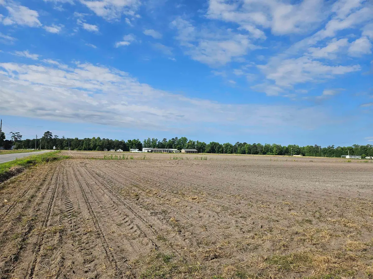 74.03 Acres - Highway 917, Nichols, SC 29581 - #1