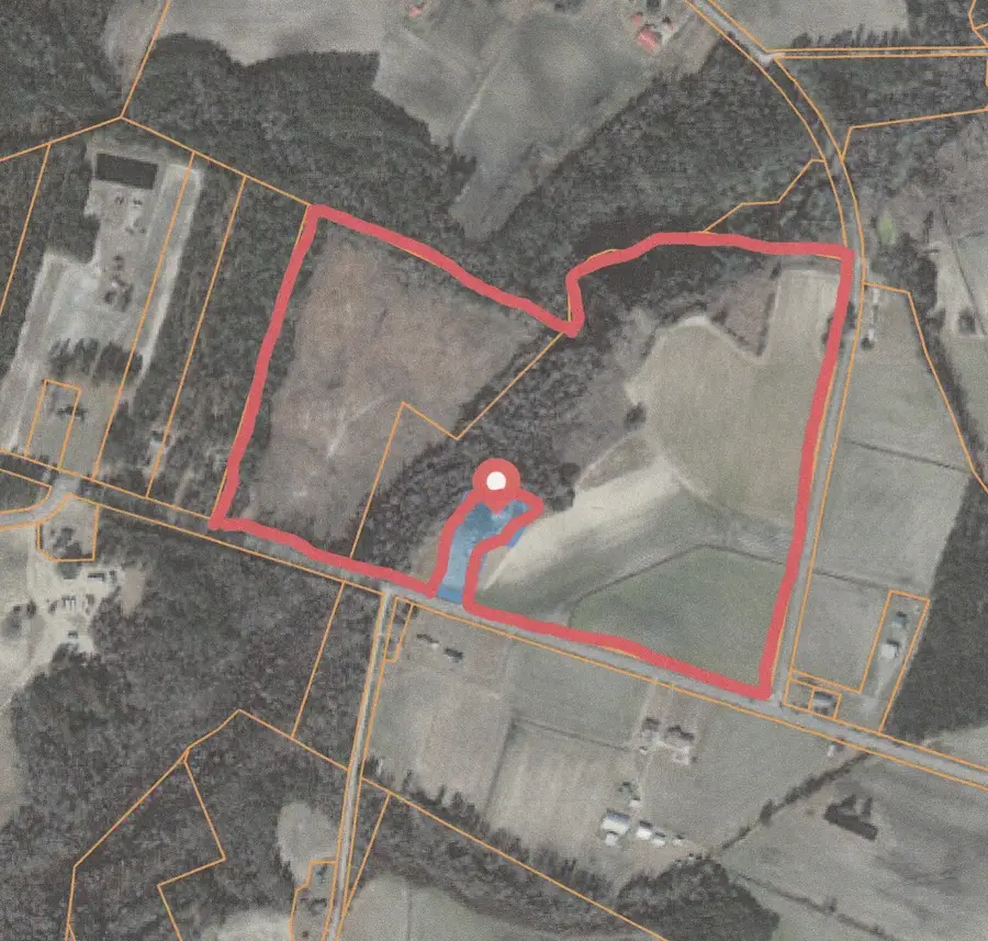 74.03 Acres - Highway 917, Nichols, SC 29581 - #3