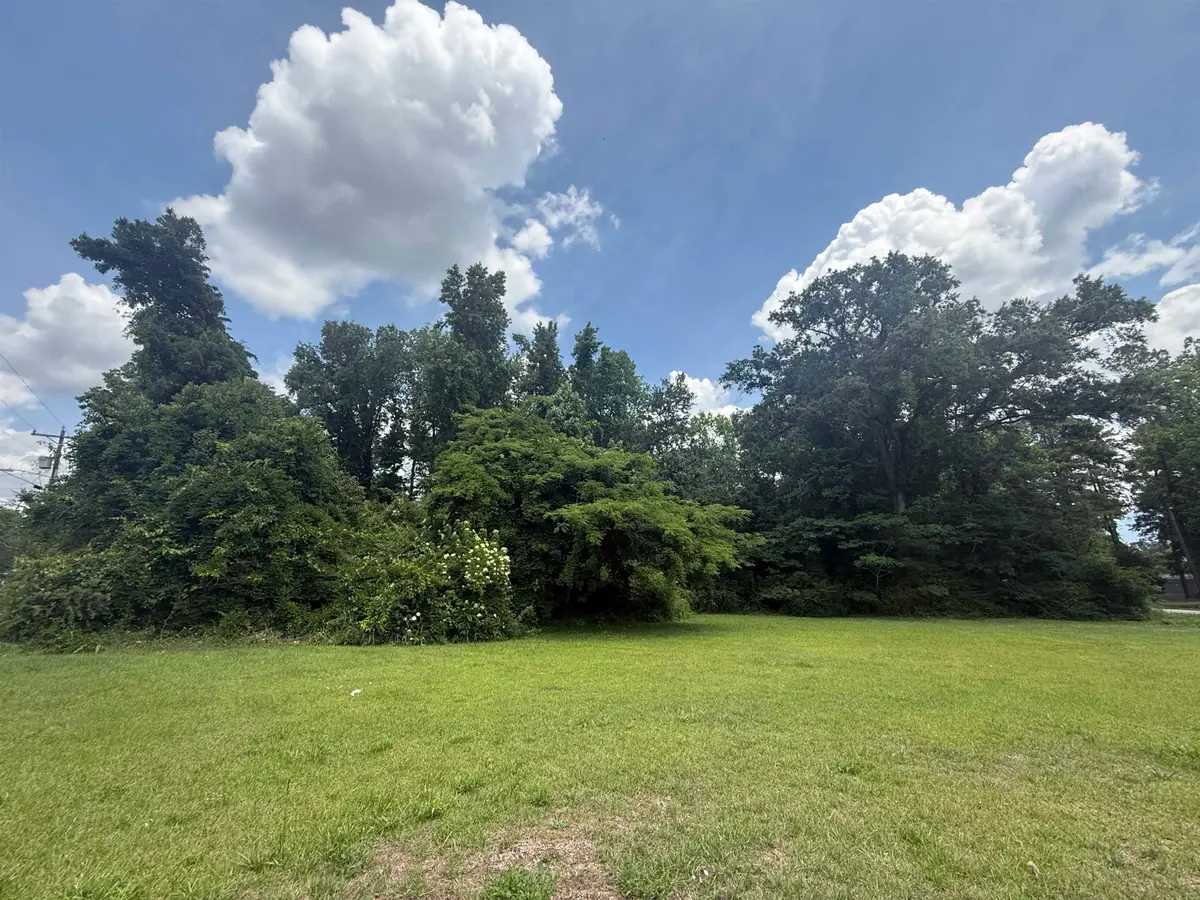 26 W Gapway Rd., Andrews, SC 29510 - #1