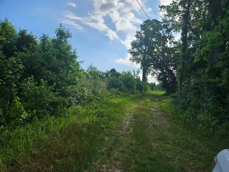 54.71ac Willoughby Rd., Nichols, SC 29581 - #2