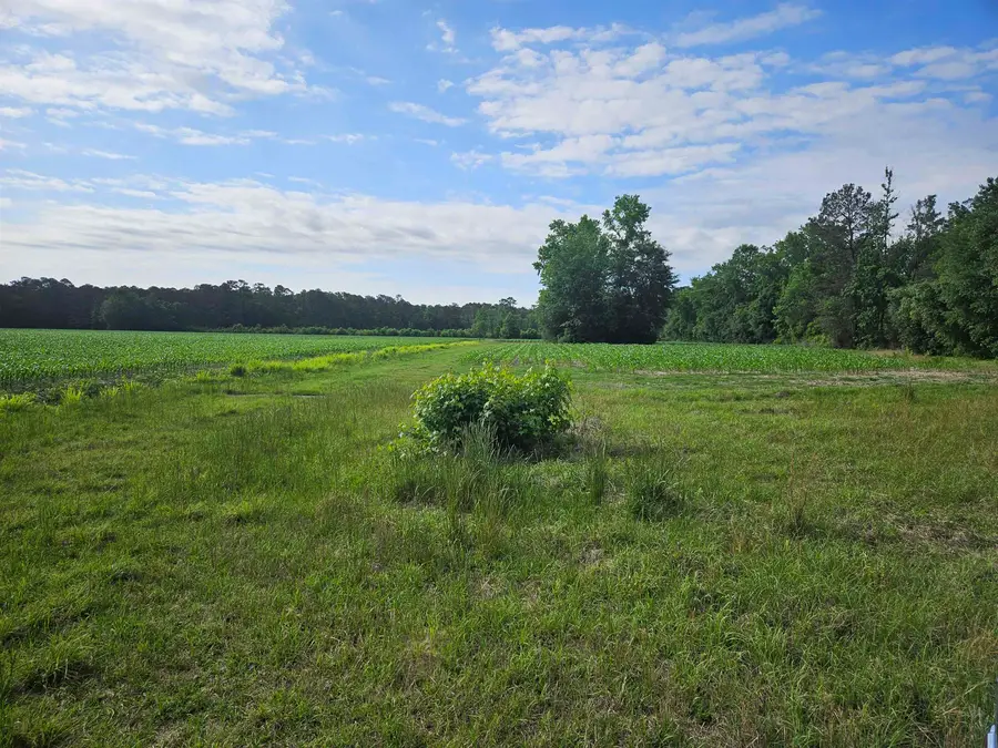 54.71ac Willoughby Rd., Nichols, SC 29581 - #3