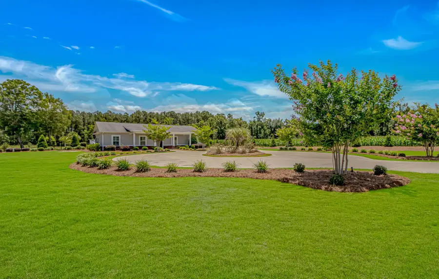 15810 County Line Rd., Andrews, SC 29510 - #2