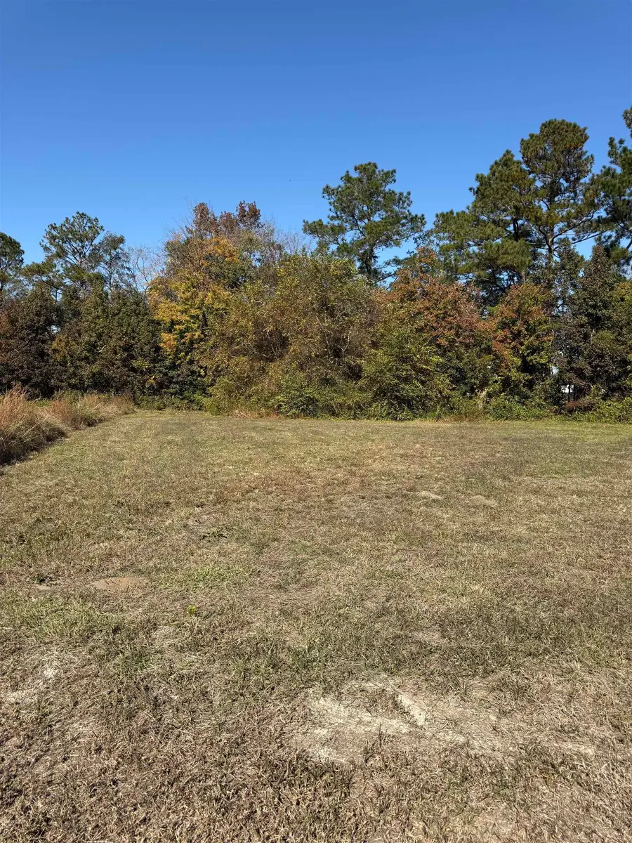 111 Quigley Pl, Aynor, SC 29511 - #2