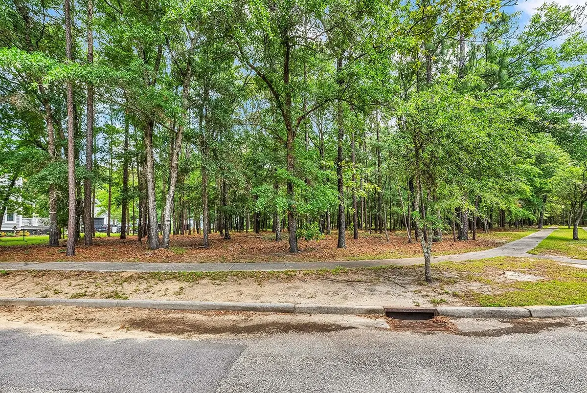 1791 Old Town Ave., Georgetown, SC 29440 - #1