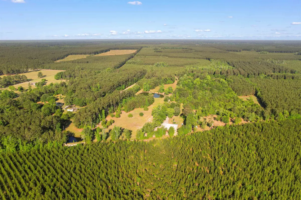 1040 Wee Tee Rd., Andrews, SC 29510 - #1