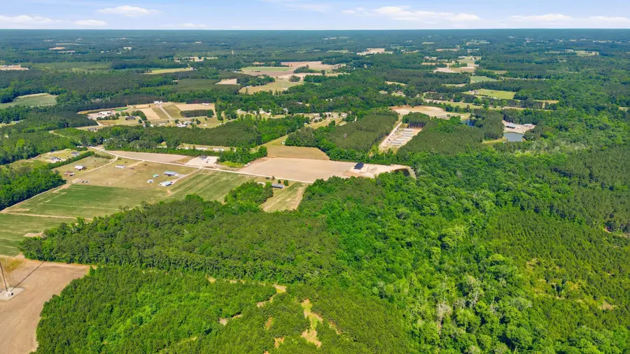 TBD Sandy Ridge Rd., Galivants Ferry, SC 29544 - #2
