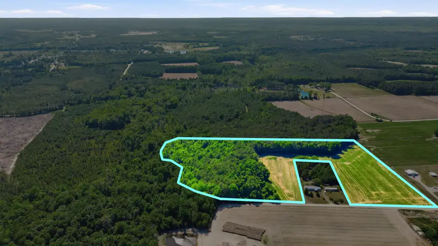 TBD Sandy Ridge Rd., Galivants Ferry, SC 29544 - #3