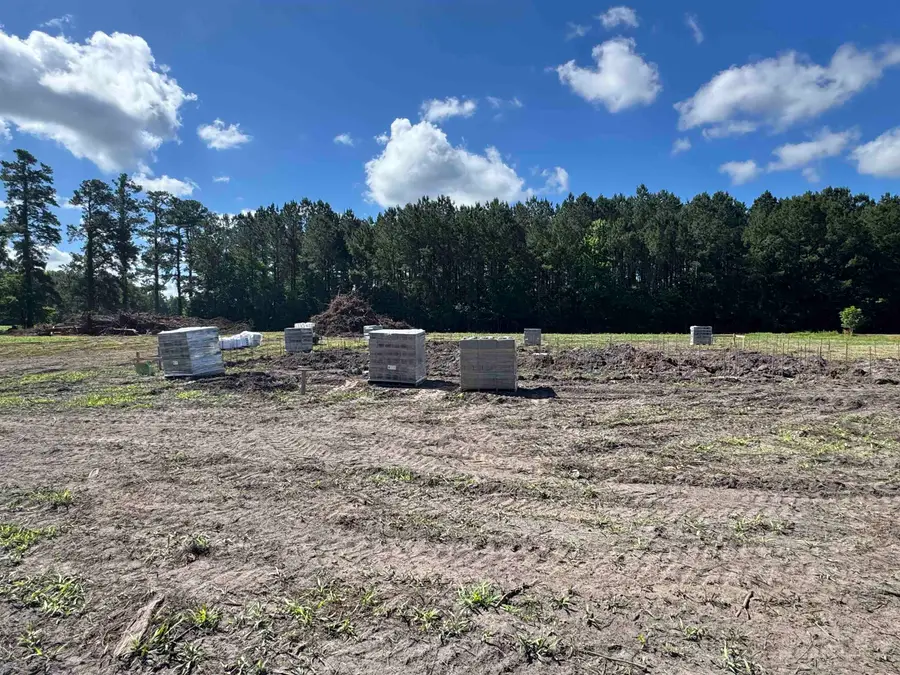 1876 Horry Rd., Conway, SC 29526 - #3
