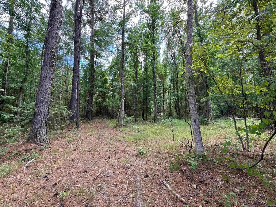 17.8 Acres-5871 Pennyroyal Rd., Georgetown, SC 29440 - #2