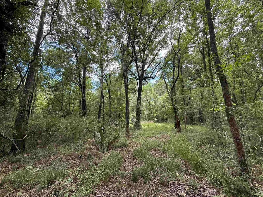 17.8 Acres-5871 Pennyroyal Rd., Georgetown, SC 29440 - #3