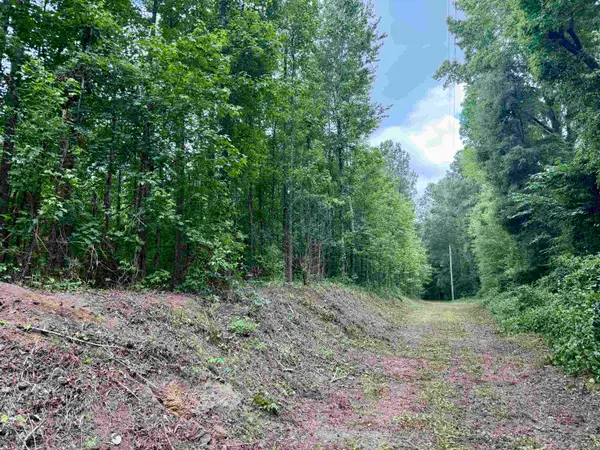 18 Acres - TBD Driffin Ln, Salters, SC 29590