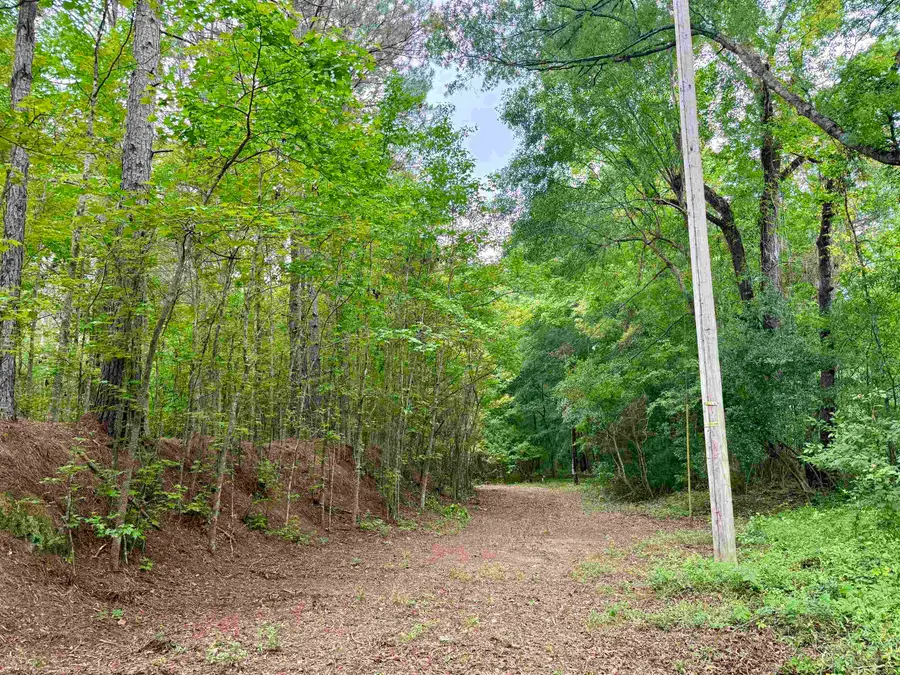 18 Acres - TBD Driffin Ln, Salters, SC 29590 - #2
