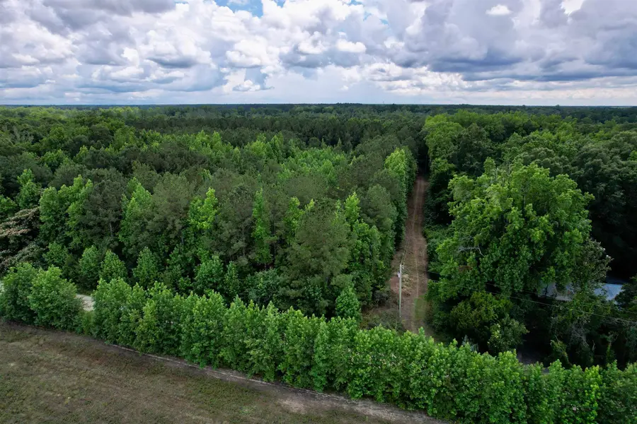 18 Acres - TBD Driffin Ln, Salters, SC 29590 - #3