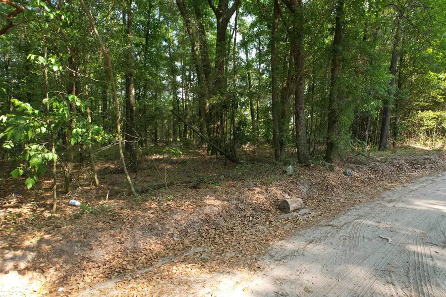 TBD Aldrich St Se, Salley, SC 29137 - #2