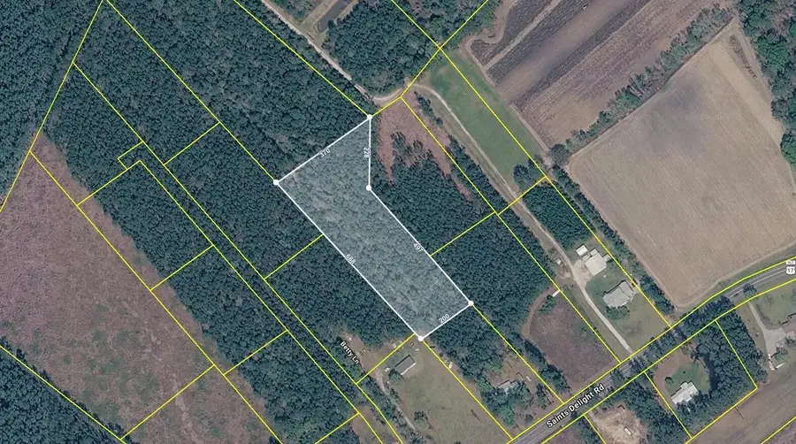 6222 Saints Delight Rd., Georgetown, SC 29440 - #2