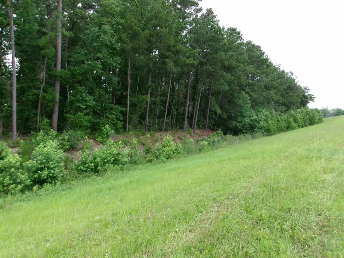 Highway 544, Myrtle Beach, SC 29588 - #1