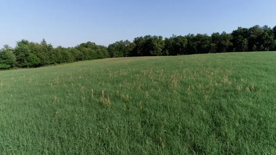 2631 Charlie Johnson Rd, Bethune, SC 29009 - #2
