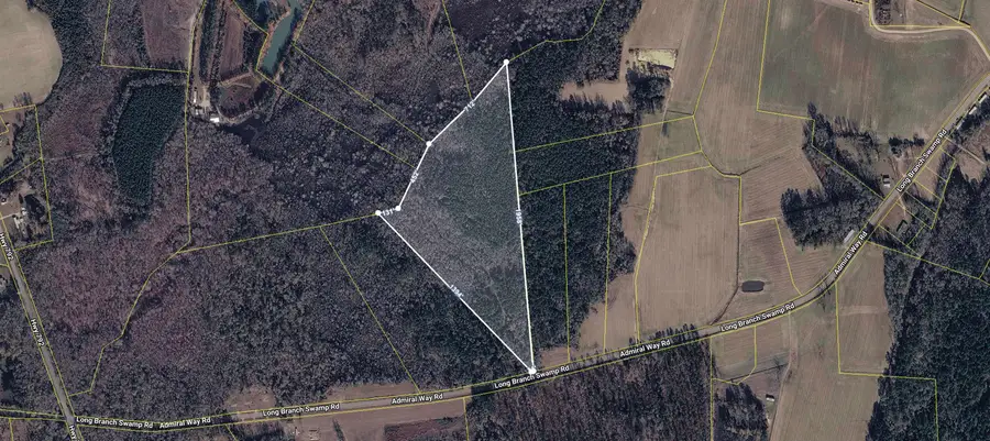 TBD (Tract 1) Long Branch Swamp Rd., Green Sea, SC 29545 - #2
