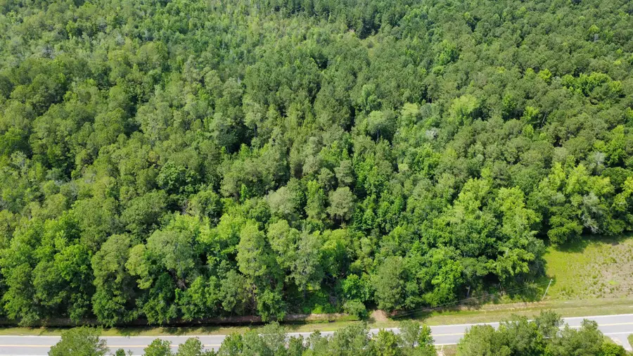 TBD (Tract 1) Long Branch Swamp Rd., Green Sea, SC 29545 - #3