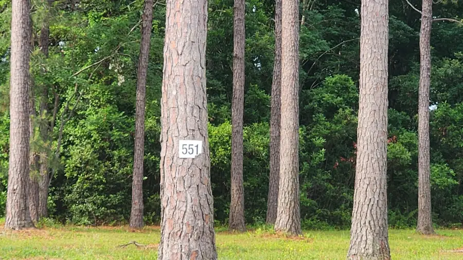 1152 Fiddlehead Way, Myrtle Beach, SC 29579 - #2