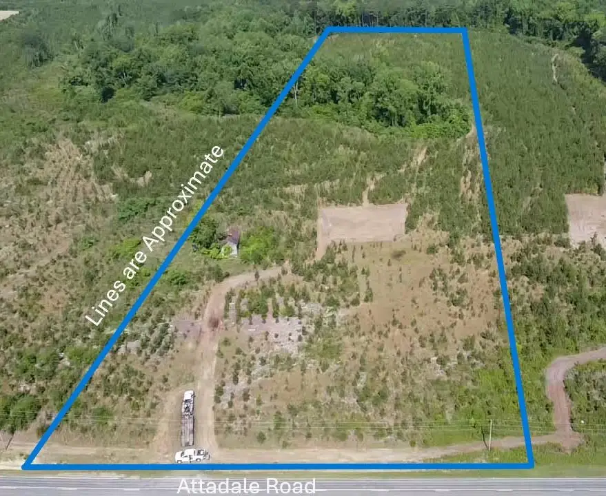 Lot 3 Attadale Rd, Blenheim, SC 29516 - #1