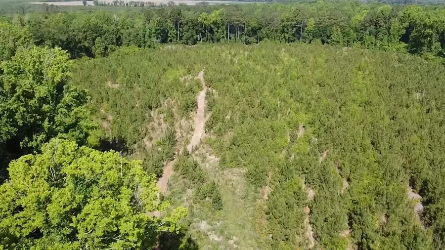 Lot 3 Attadale Rd, Blenheim, SC 29516 - #3