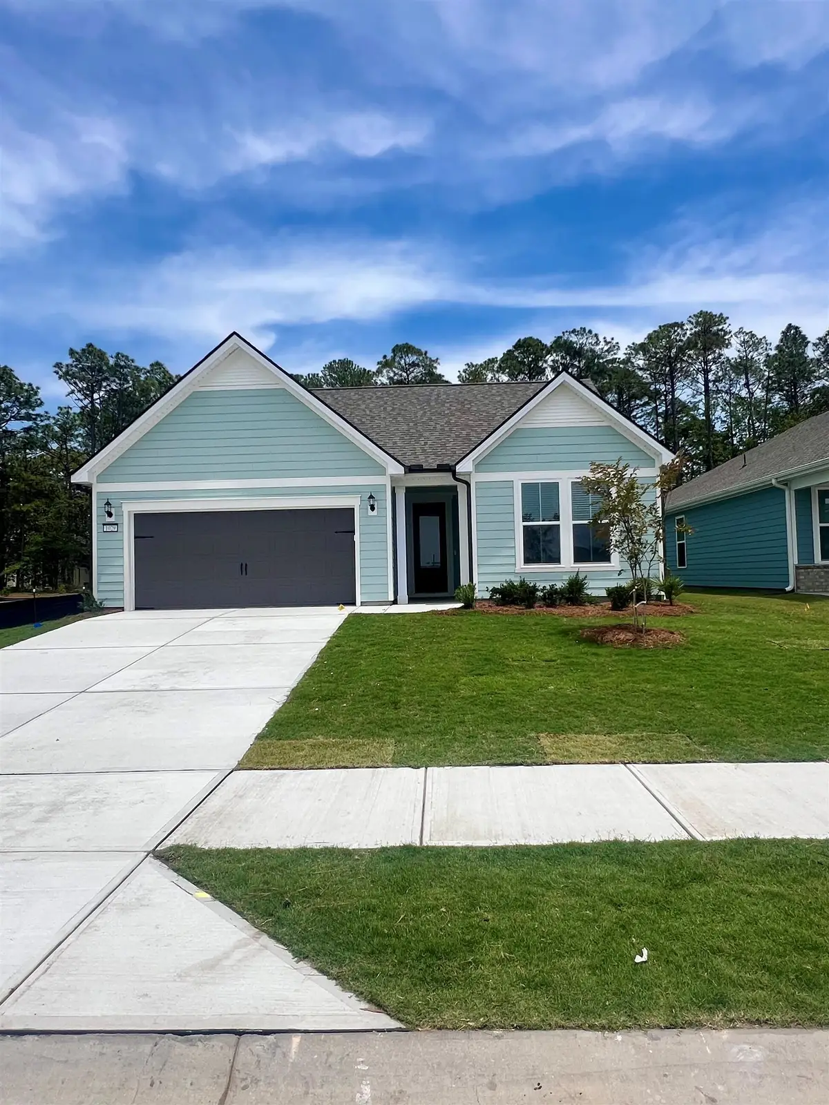 1029 Lady Bird Way, North Myrtle Beach, SC 29582 - #1
