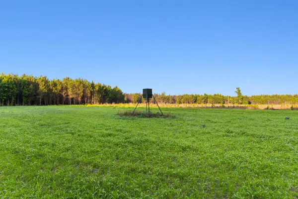 77 Acres - TBD Bert Hanna Rd., Johnsonville, SC 29555