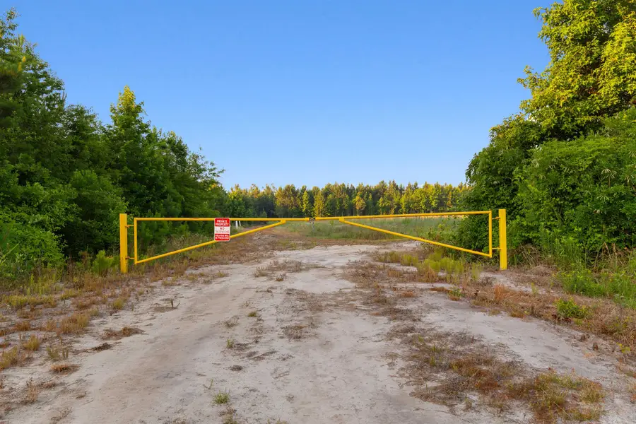 77 Acres - TBD Bert Hanna Rd., Johnsonville, SC 29555 - #3