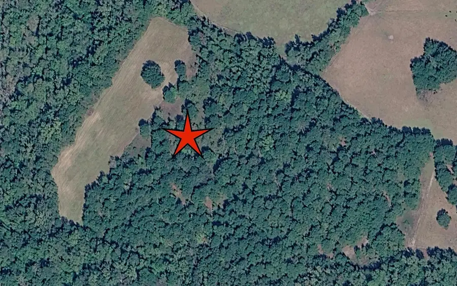000 Not Specified, Marion, SC 29574 - #3