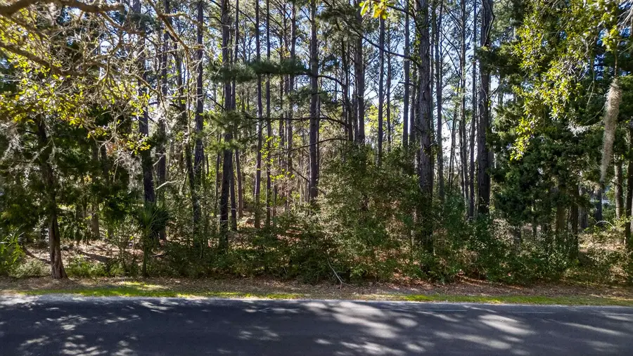 Lot 18 Luvan Blvd., Georgetown, SC 29440 - #3
