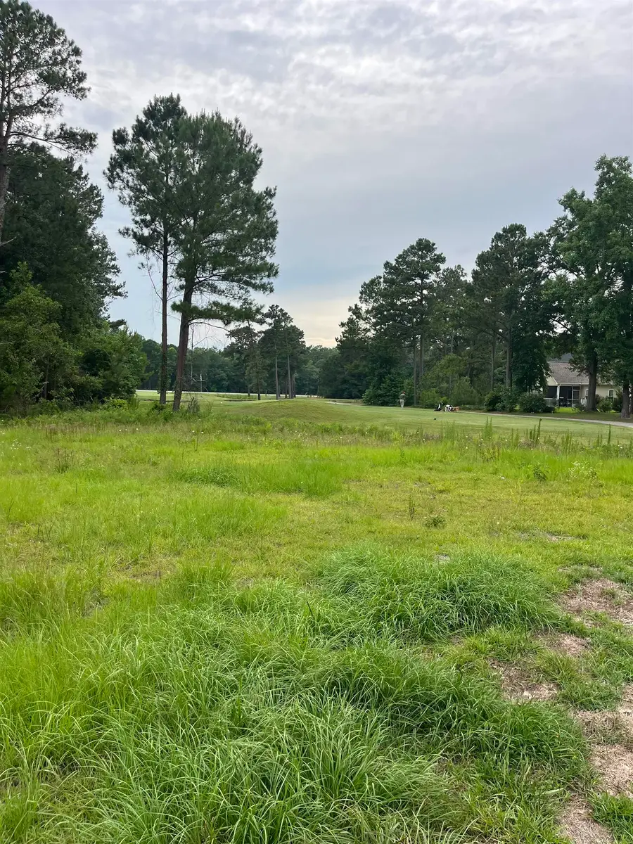 TBD Long Meadow Dr., Loris, SC 29569 - #3