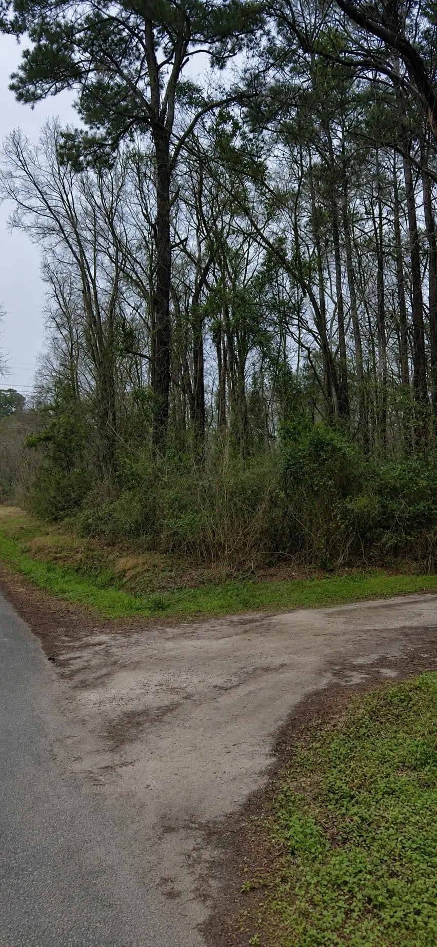 TBD Sing Ave., Conway, SC 29527 - #1