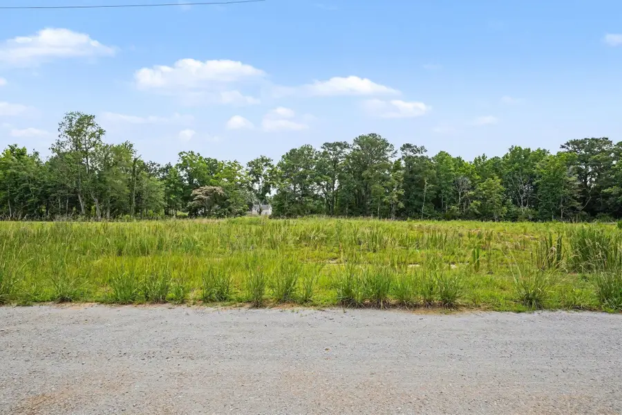 113 Rena Ln, Conway, SC 29527 - #2