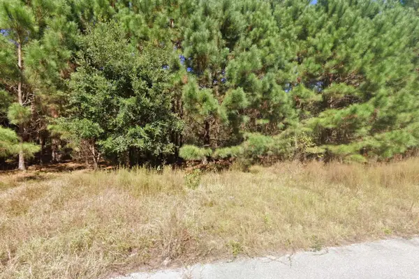 442 Pembroke Blvd., Johnsonville, SC 29555