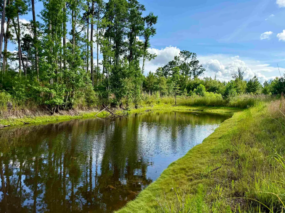 85 Acres - Muddy Creek Rd., Johnsonville, SC 29555 - #1