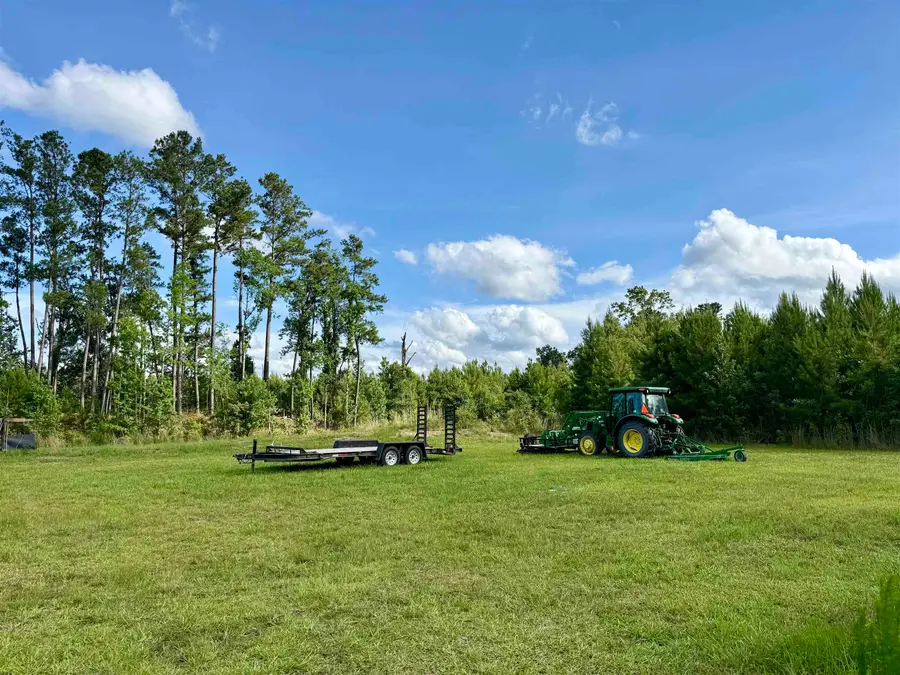 85 Acres - Muddy Creek Rd., Johnsonville, SC 29555 - #2