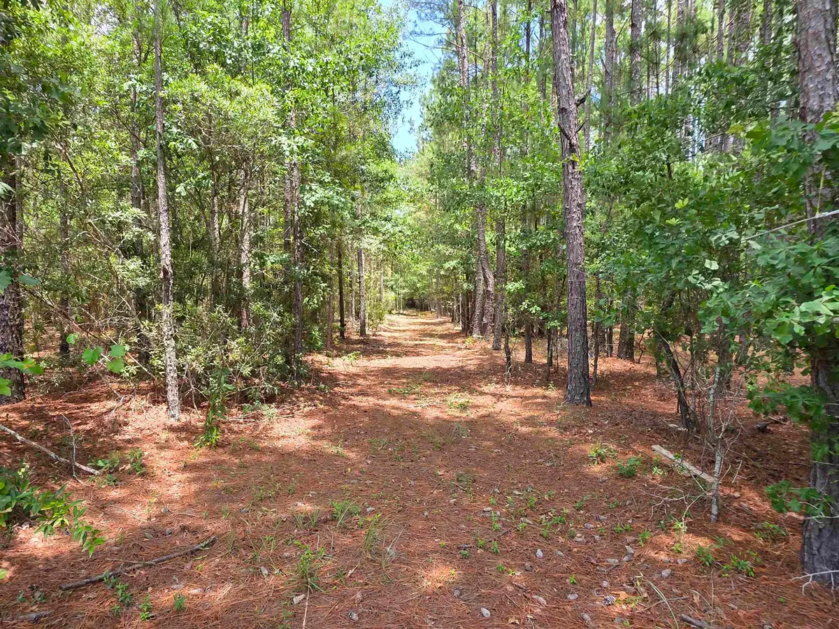 3435 Highway 430, Nichols, SC 29581 - #1