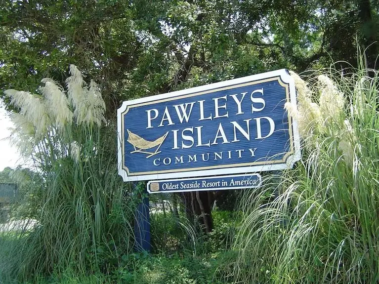 44 Mullet Bay Rd, Pawleys Island, SC 29585 - #2